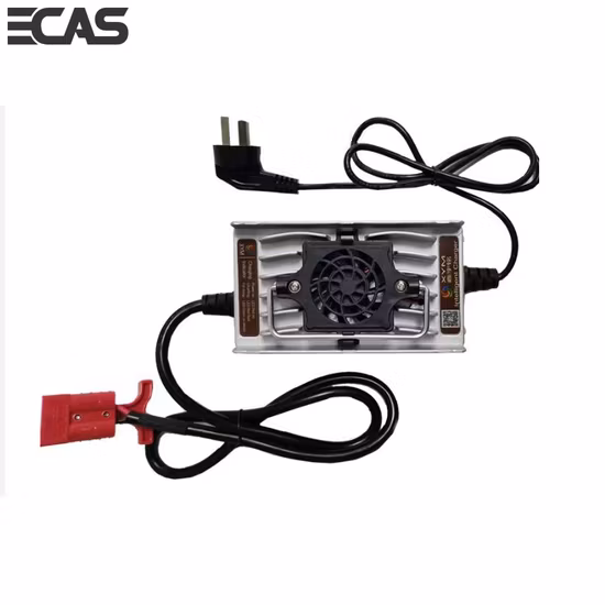 Puissance personnalisable 36V12A 48V10A 58.4V10A 120W chariot de Golf chariot élévateur transpalette V Marine chargeur de batterie au Lithium-Ion
